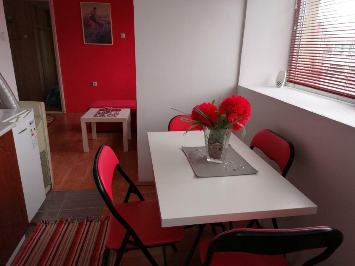Jednosoban Stan Centar Apartment Pirot Exterior photo